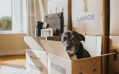 6 Overlooked Ways to Make Moving House Easier