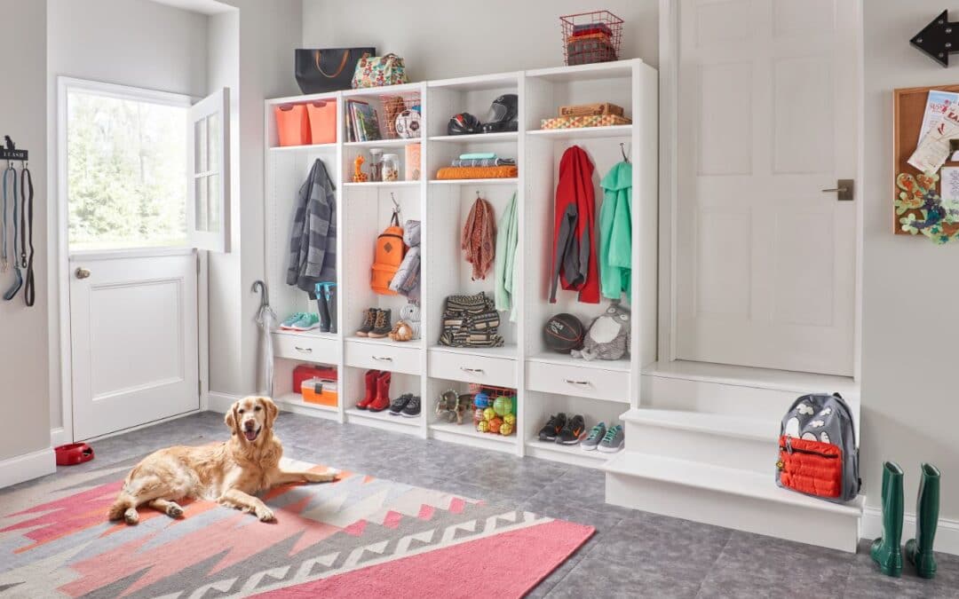 pet home organization
