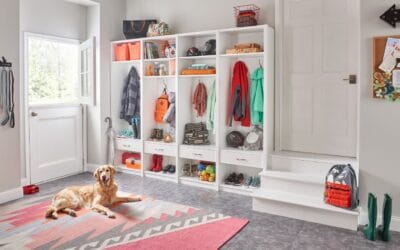 Top Tips for Home Organization With Pets