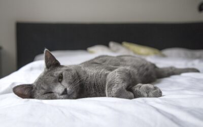 4 Ways Science Says a More Organized Bedroom Leads to Better Sleep