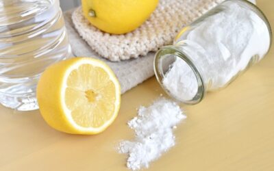 D.I.Y Natural Air Fresheners For a Better Smelling Home