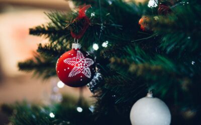 How To Choose the Right Live Christmas Tree
