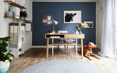 How to Design and Organize a Zoom Worthy Home Office