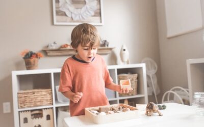 10 Top Reasons for Playroom Organization