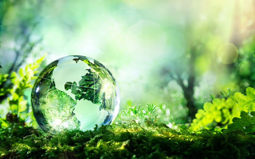 sustainable decluttering