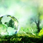sustainable decluttering