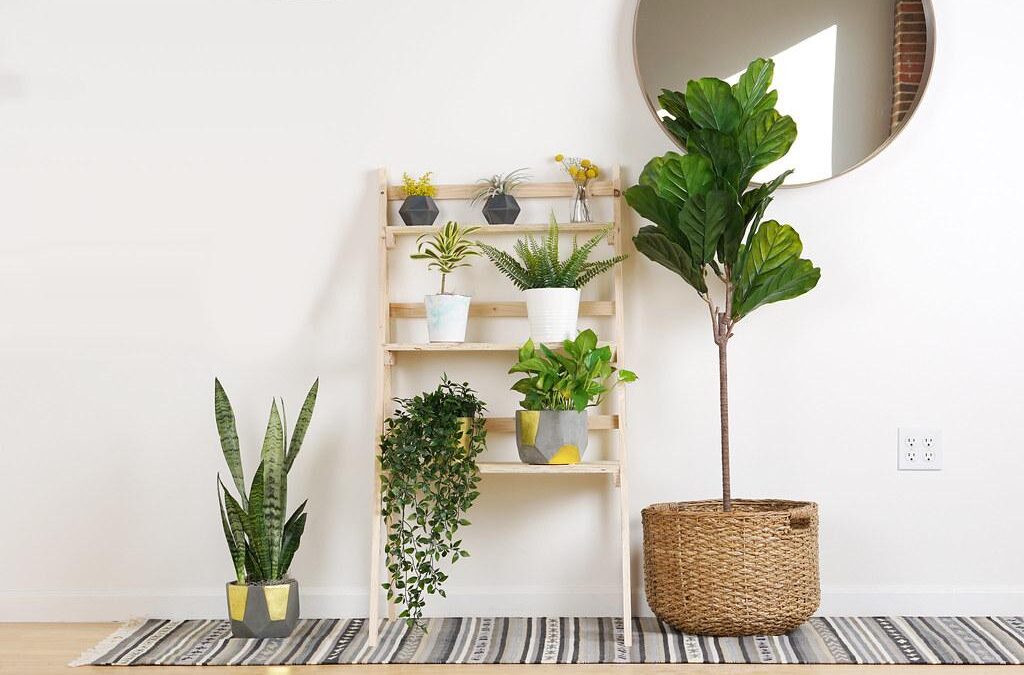 How To Redesign Your Home With Houseplants