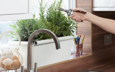 Herbs for Home Decor: A Beautiful and Edible Way to Add Style to Your Space