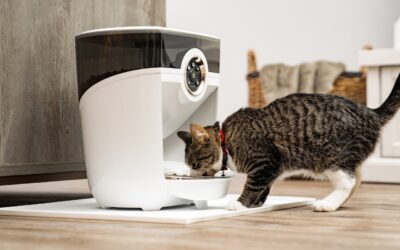 Top 5 Smart Home Devices For a Happier, Healthier Pet