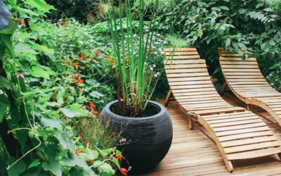 Create Harmony in Your Outdoor Space: A Guide to Outdoor Feng Shui