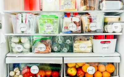 Top 10 Fridge Organization Products To Buy on Amazon