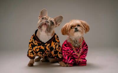 Top 10 Pet Organization Products: Simplifying Your Life with Your Pets