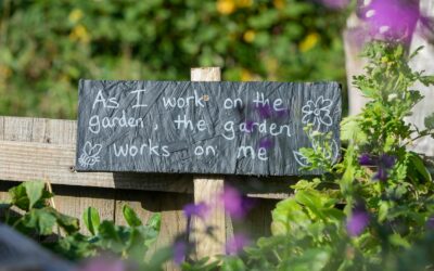 Top 5 Tips for Spring Garden Organization