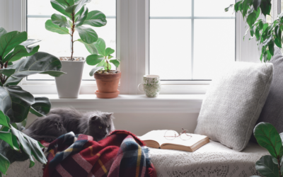 Expert Guide to Organizing Home Relaxation Spaces