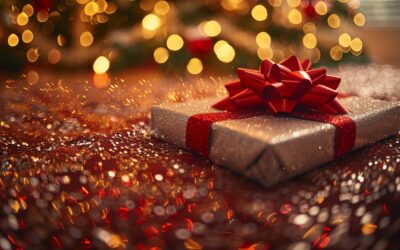 Escape the “Stuff” Trap: Give the Gift of Experiences (and Organization!) This Year